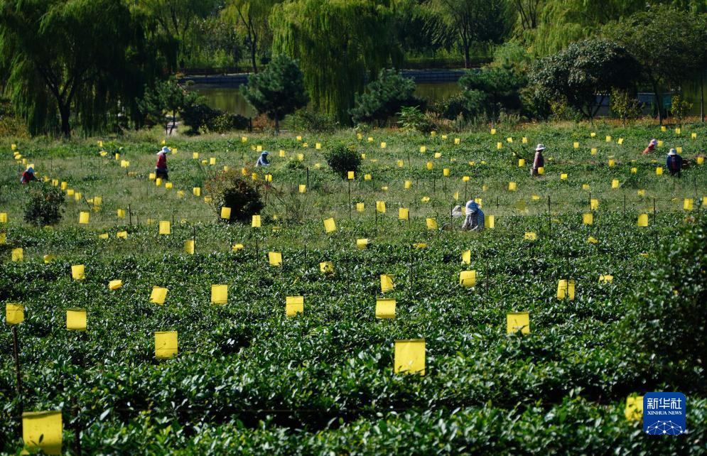 百佬汇线上官网